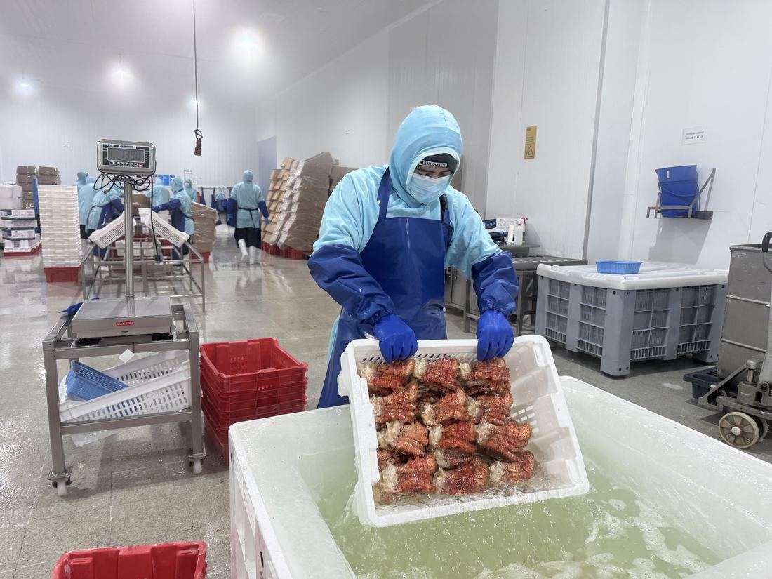 工作人员将成箱雪蟹放入水槽中清洗