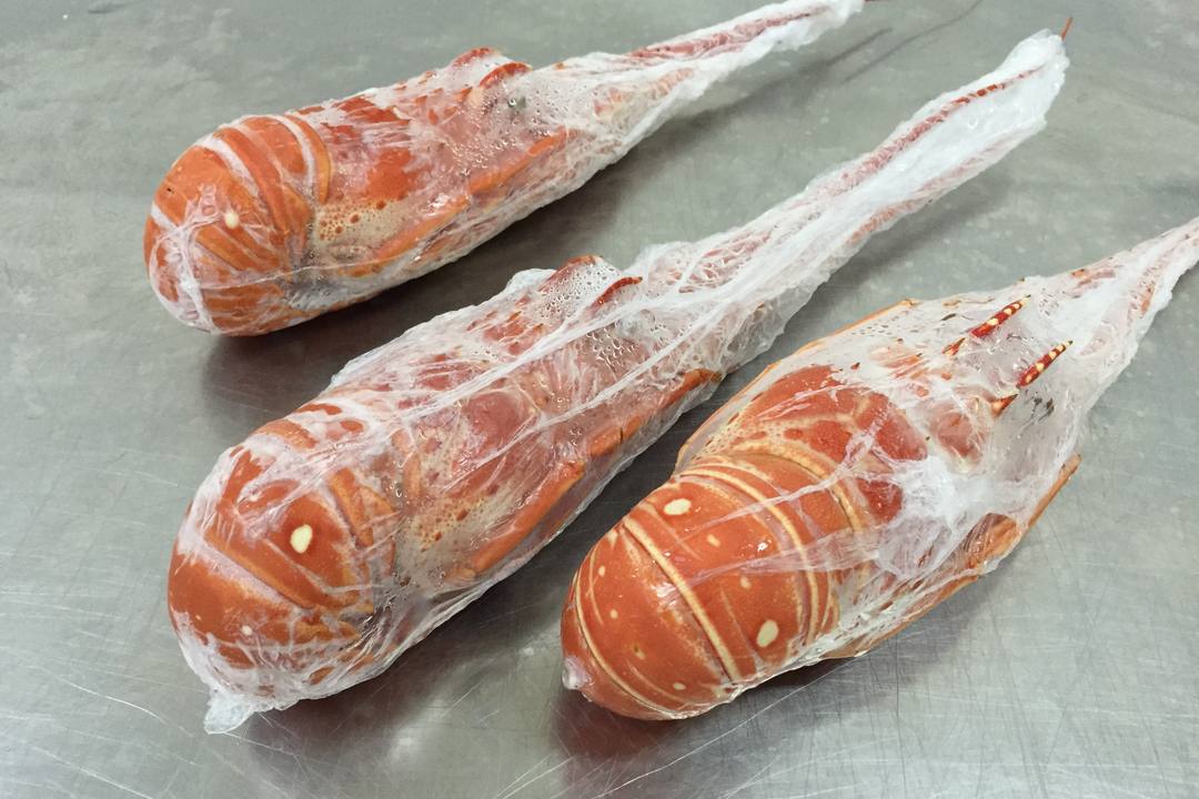 熟冻整只龙虾单只塑封成品