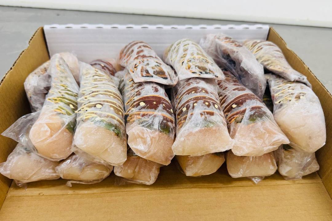 生龙虾尾整箱包装,规格统一、上冰衣保护