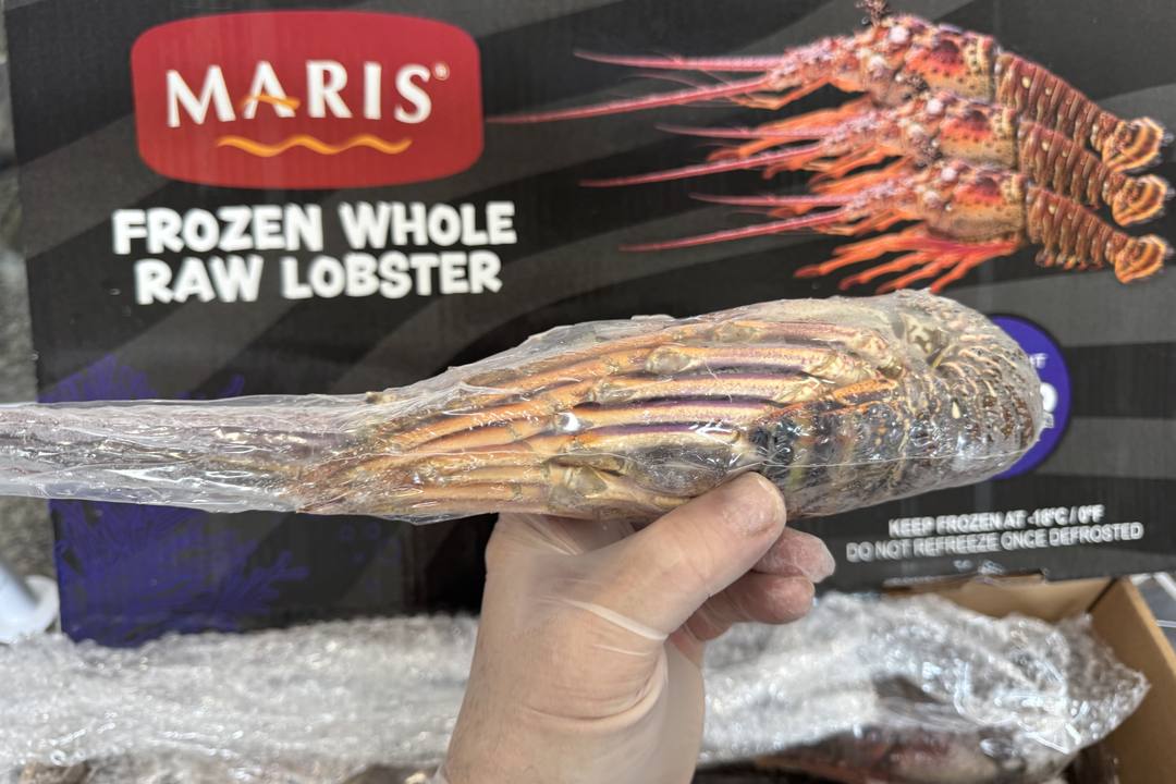 MARIS 品牌整只生冻龙虾,出口外箱包装