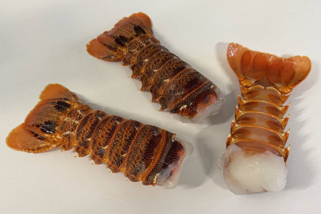 生龙虾尾特写,纹理清晰、肉色洁白