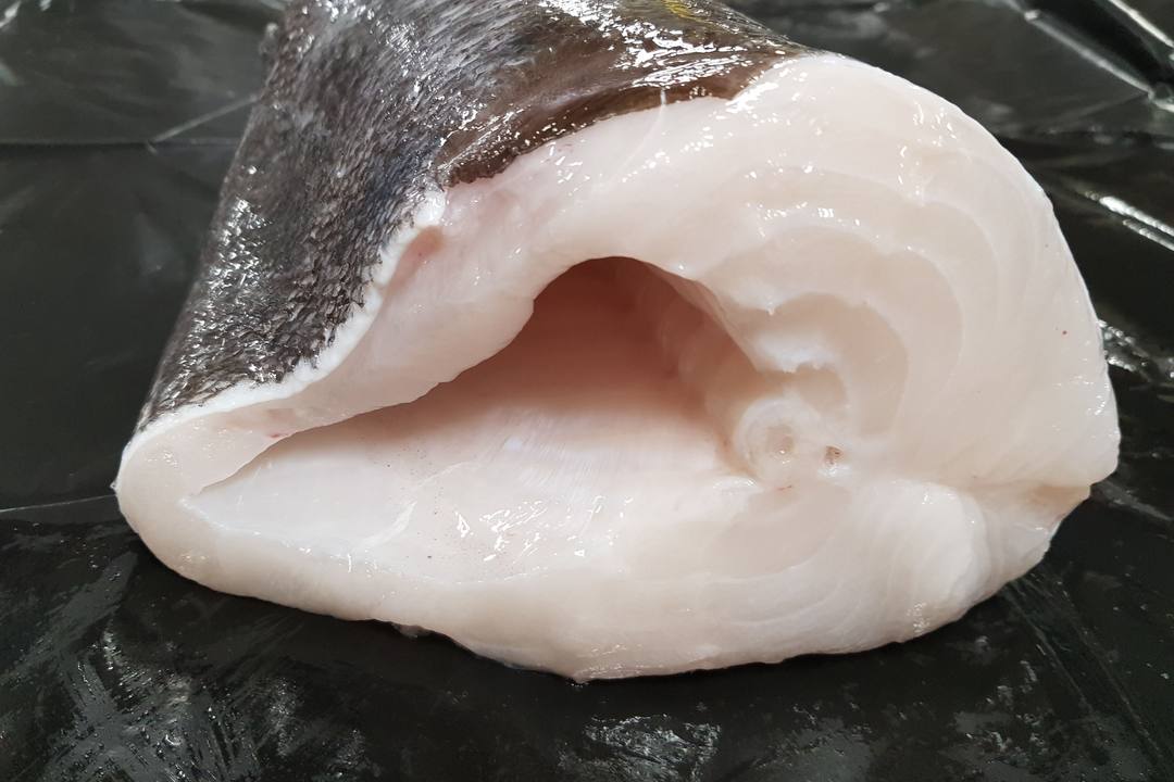 生冻鱼颈肉（Neck Piece）特写，肉质洁白、油脂丰厚